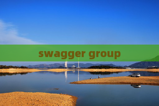 swagger group
